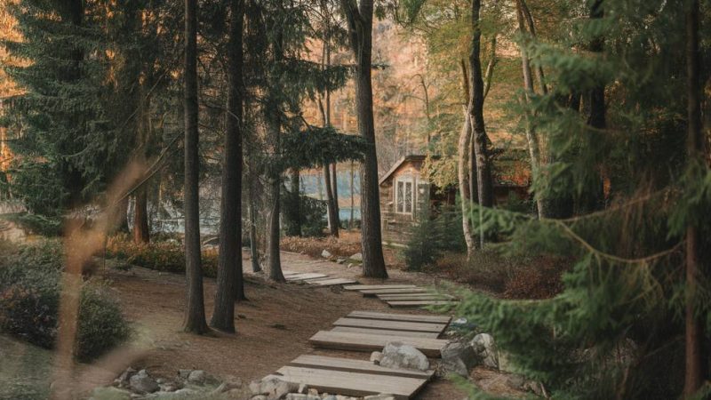 Forets et mèches pour carrelage : bien choisir pour percer sans casse
